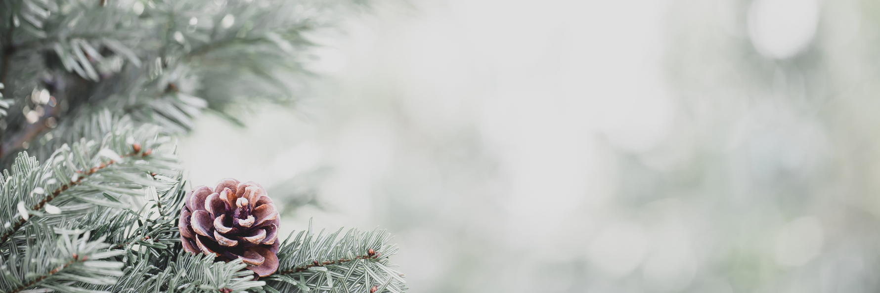 Maak uw Feestdagen Onvergetelijk met de Verpakkingen van Demoza!